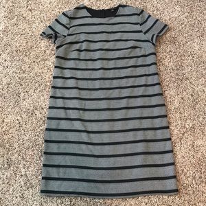 Ann Taylor short sleeved ponte knit dress